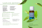 Эфирное масло Чайное дерево