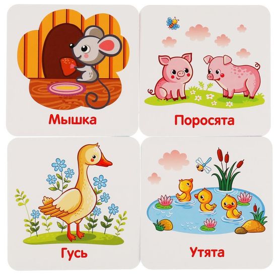 IQ чемоданчик. Домашние животные. 35 карточек в чемоданчике. Умные игры