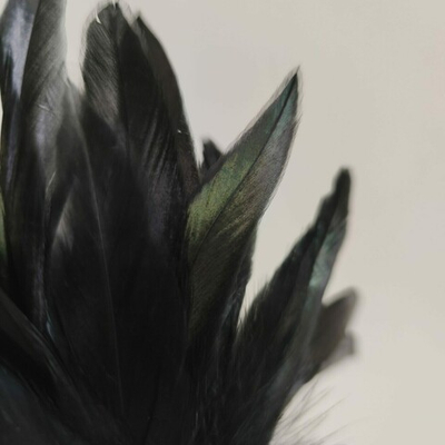 Перья петуха черные двухцветные  2 сорт 30 -35 см. за штуку