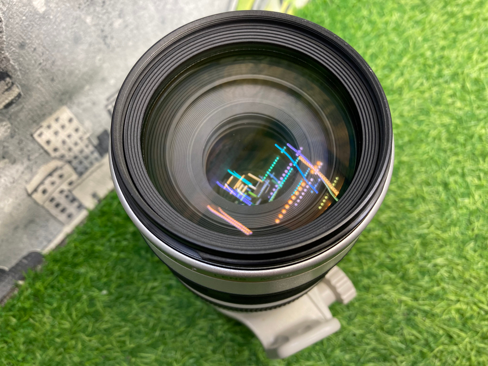 Canon EF 100-400mm 4.5-5.6L IS USM