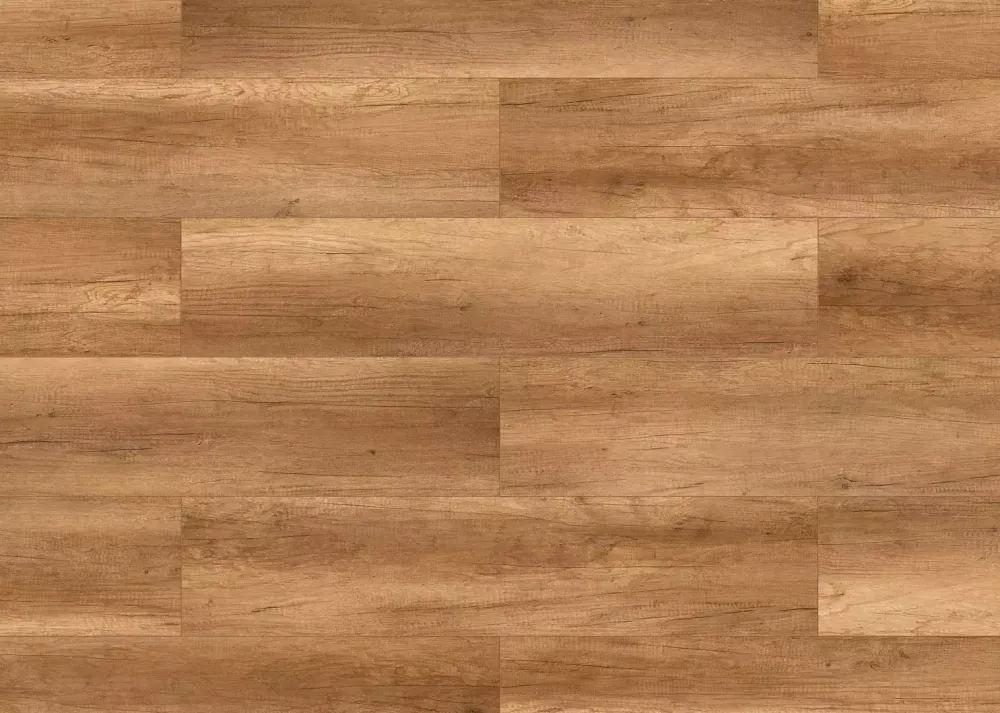 Adventure WR Дуб Донкастер, 2,030 м²