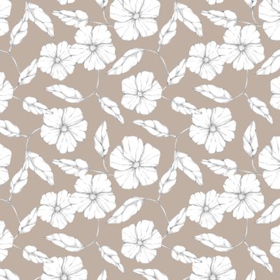 белые цветы на бежевом фоне