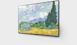 ТВ LG 55" OLED55G1 Evo OLED