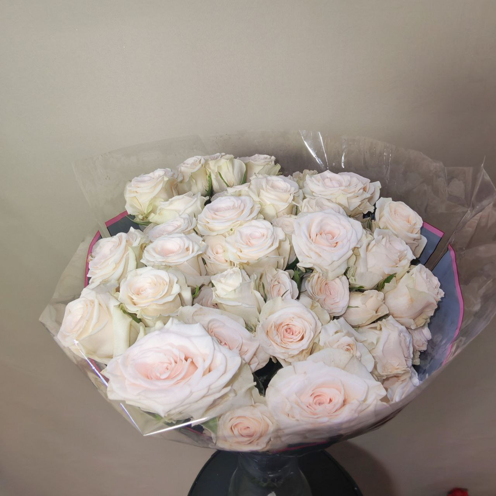 Роза кустовая светло-кремовая "Sushi" (10 шт/уп.)