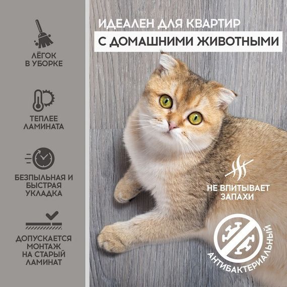 SPC ламинат I-Floors Basic - Дуб Шлосберг (4.2 мм 2.06)