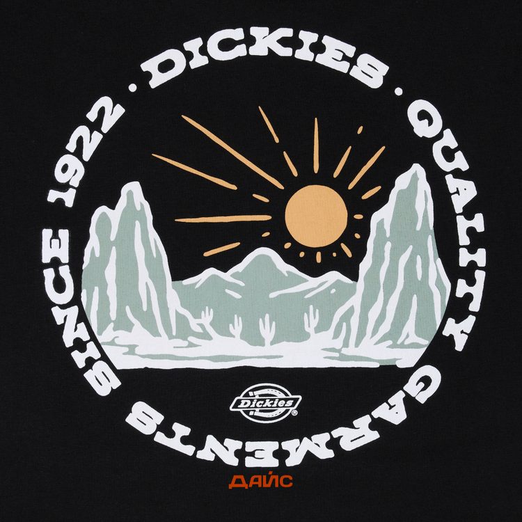 Футболка мужская Dickies Outdoor артикул:DK0A4Z8PBLK1 - купить в магазине Дайс