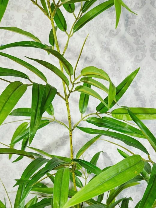 Бамбук растение 120см Панда в кашпо