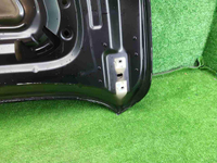 Капот Voyah Dream (2021-н.в.)