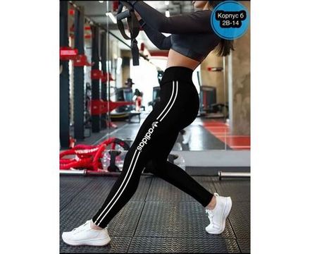 Лосины 6840981 Fabrika