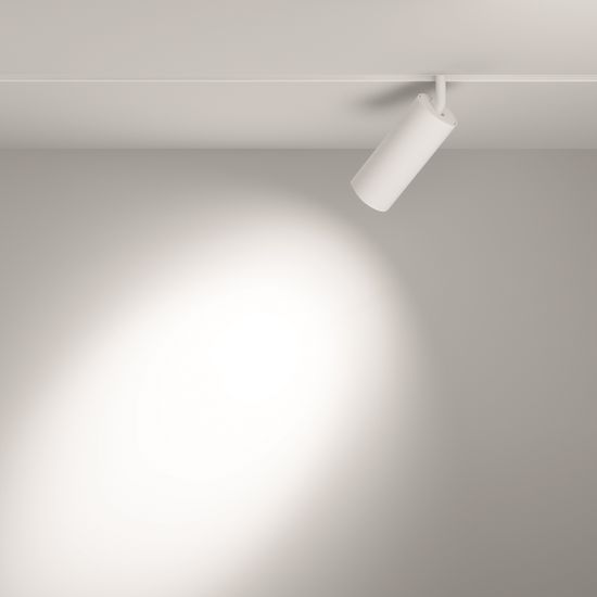 Трековый светильник Technical TR032-2-20W4K-S-W