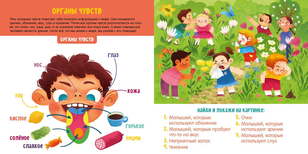 Мое тело. Визуальный словарь