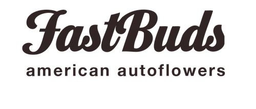 Z-Up auto