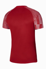 Футболка Nike Dri-FIT Academy