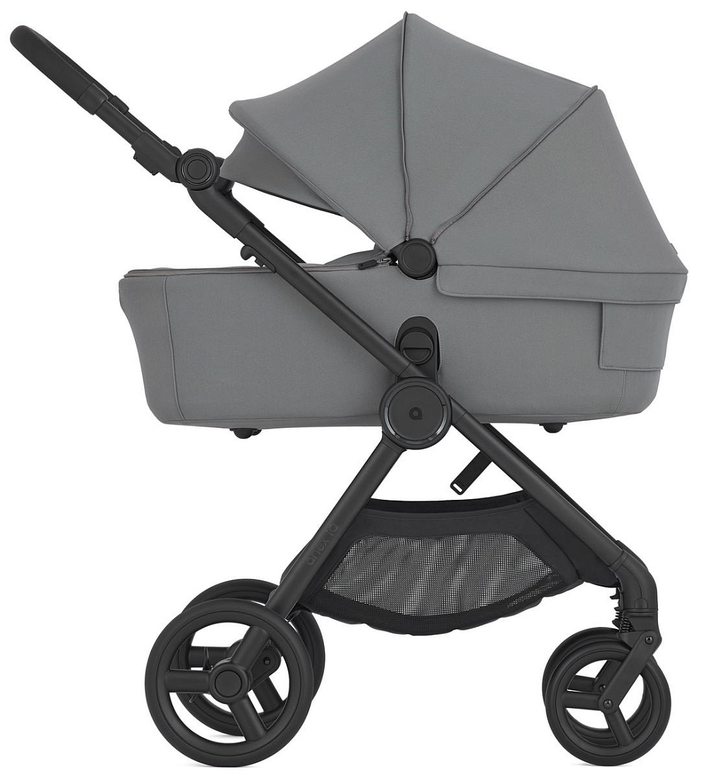 Детская коляска Anex iQ Basic NT 2 в 1 Loft