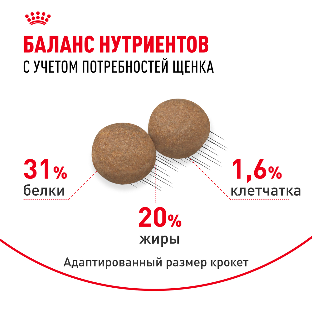 Royal Canin Mini Puppy Корм сухой для щенков мелких пород 800 г