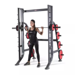 Машина Смита PANATTA Fit Evo Smith Machine Linear Bearings 1FE113B