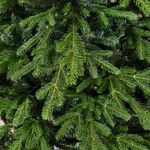 Елка с гирляндой встроенной «Elegance» (Литая+пвх) от 1,5 м до 2,7 м