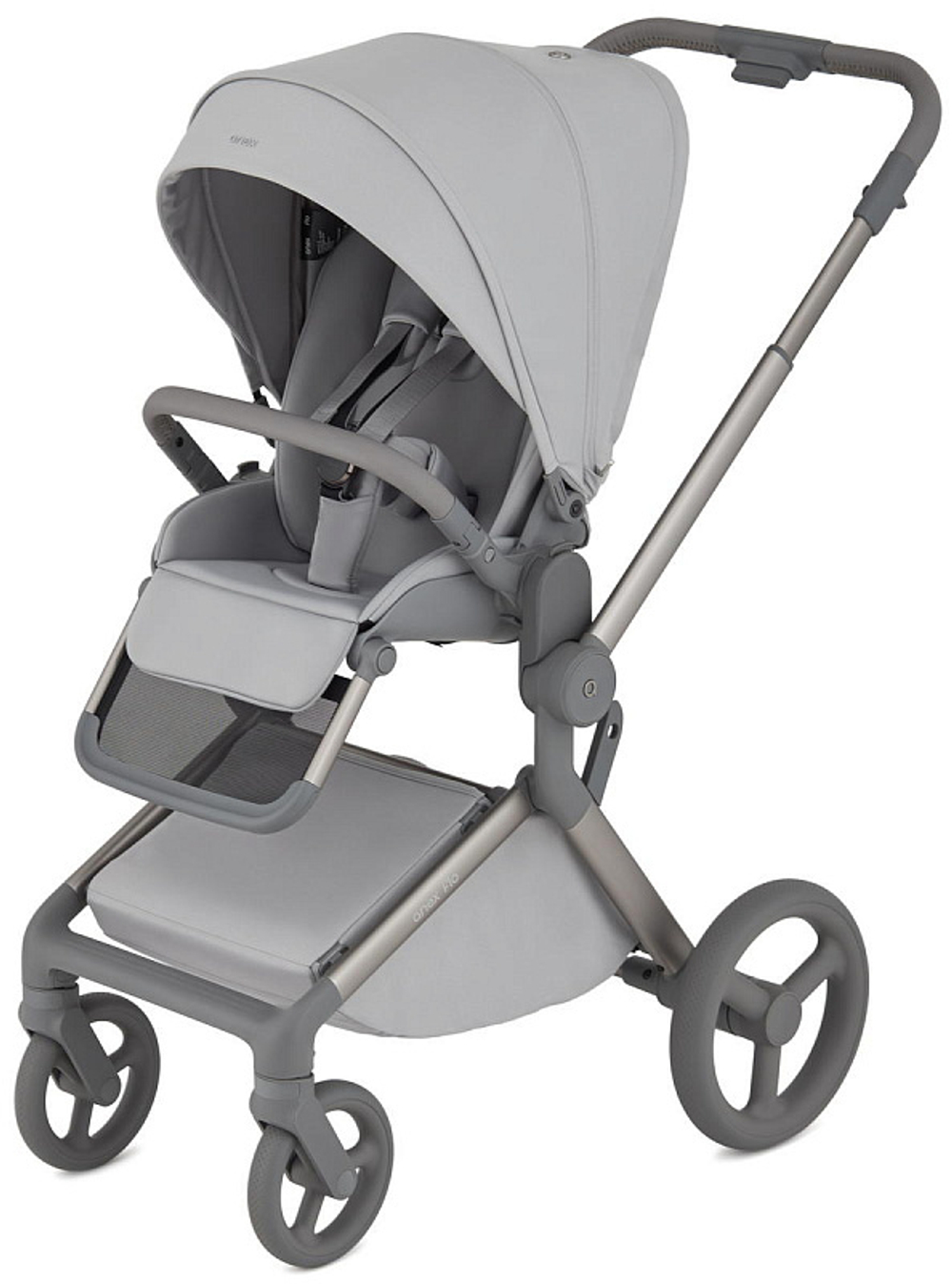 Детская коляска Anex Flo 2 в 1 Frossy