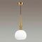 Подвесной светильник Odeon Light Pendant Runga 4767/1