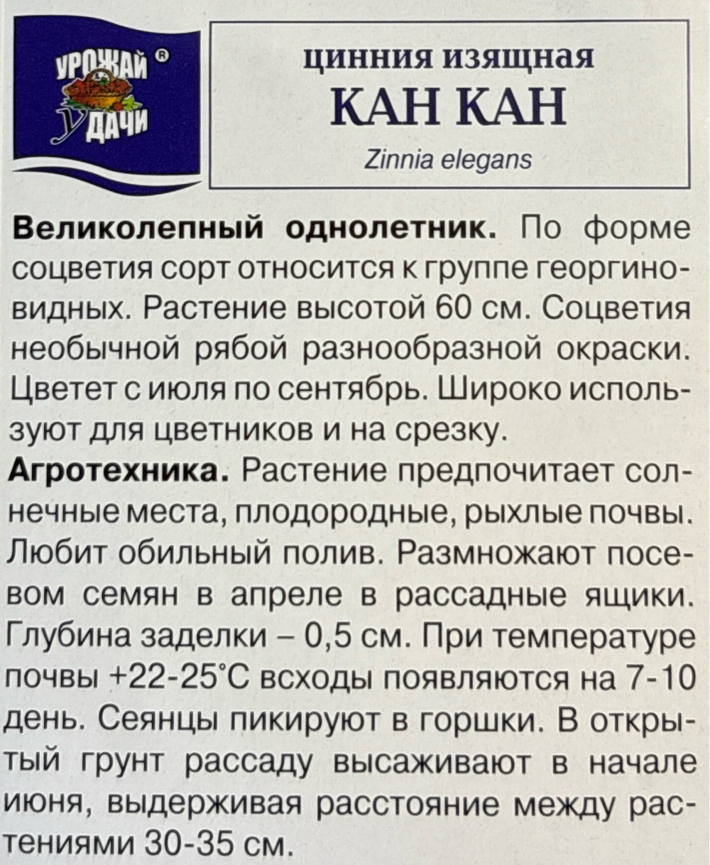 Цинния Кан Кан изящная 0,3 г СМЦ-311