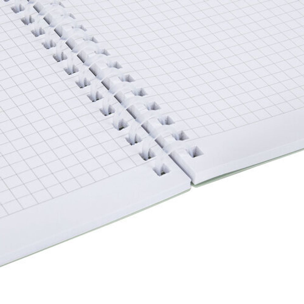 Тетрадь обложка пластик, А5 80 л., гребень мягкий, вырубка для ручки, клетка, BRAUBERG, светло-зеленый, 405378