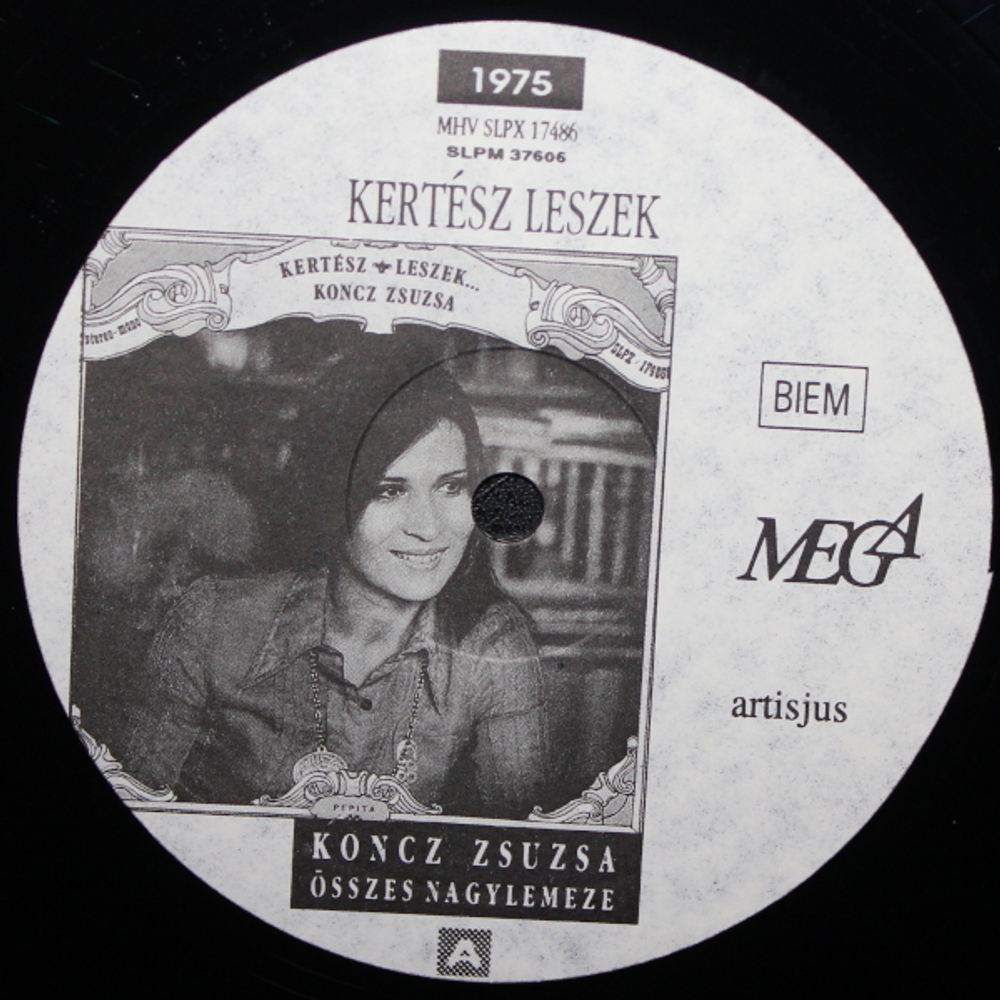 Koncz Zsuzsa / Osszes Nagylemeze Az Illes Egyuttessel es A Fonograffal (10LP)