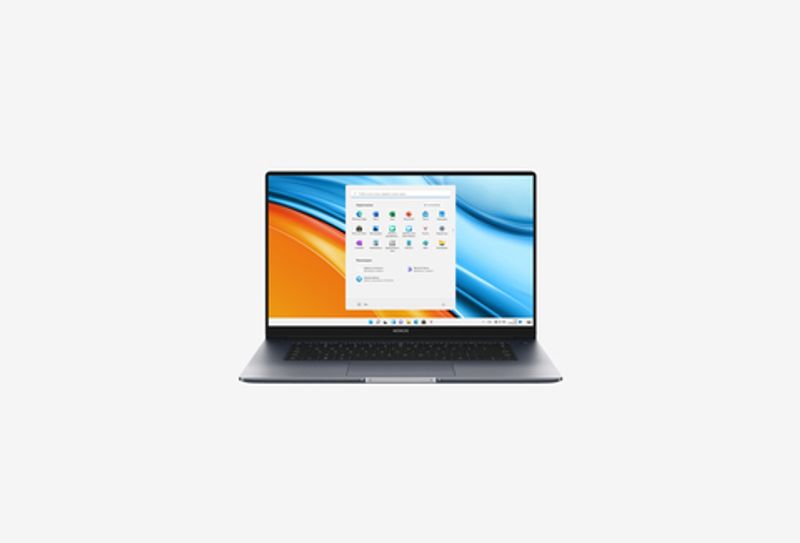 15.6" Ноутбук HONOR MagicBook 15 BMH-WDQ9HN серый