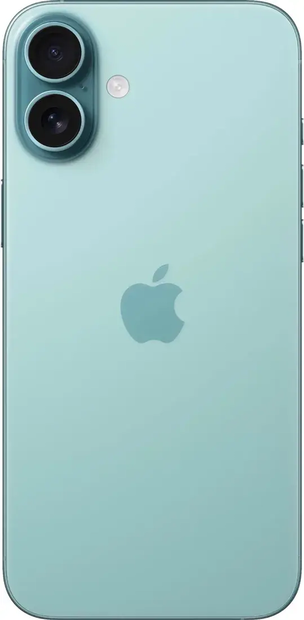 Смартфон Apple iPhone 16 Plus 128 ГБ Бирюзовый