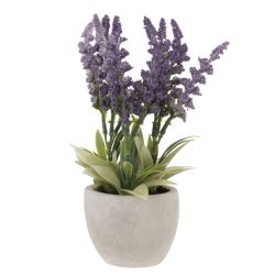 GAEM Цветочная композиция, L8 W8 H22 см