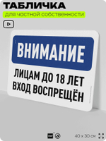Табличка для частной территории "Внимание, лицам до 18 лет вход воспрещен", на дом, для участка, организаций и частных территорий, предупреждающая, 40х30 см, Silver Plane x Айдентика Технолоджи