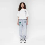 Спортивные штаны Dissident Sportive Goods серые