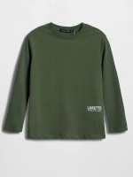 Спортивный костюм для мальчика на физкультуру