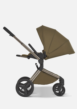 Anex Детская коляска Flo 2 в 1 Astra