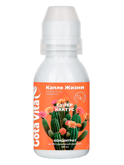 СУПЕР КАКТУС
