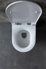 Унитаз Allen Brau Reality 4.32006.20 безободковый, с крышкой микролифт, белый