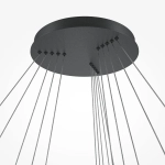 Подвесная люстра Maytoni RIM MOD058PL-L200BK