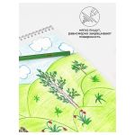 Карандаши цветные Гамма "Классические", 36цв., заточен., картон. упаковка, европодвес