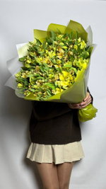 Цитрусовое настроение