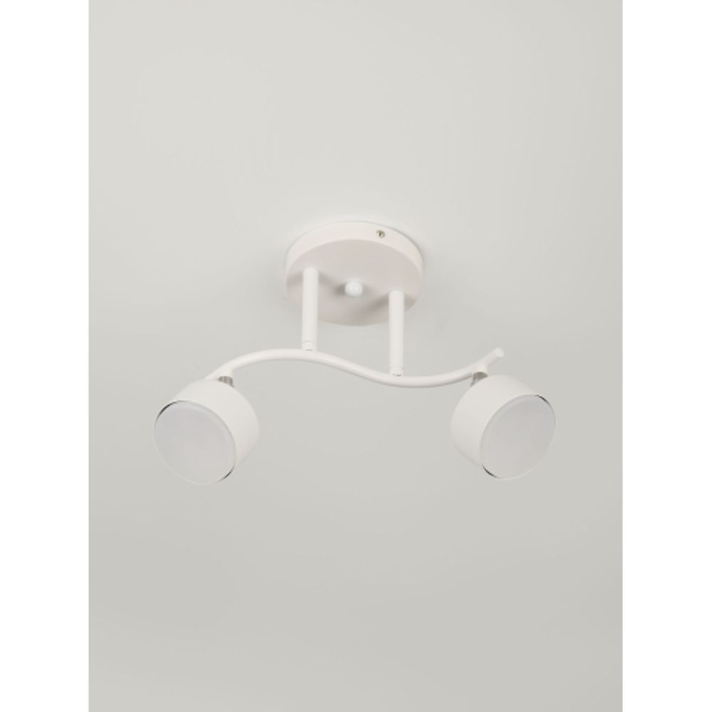 Светильник настенно-потолочный спот Rivoli   7080-702 2хGX53 15 Вт поворотный