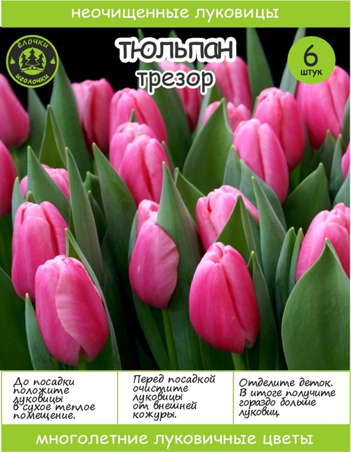 Тюльпан Луковица, Трезор, 6+ шт