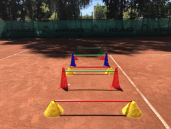 Kijki Pro's Pro Hurdle Pole 80 cm - небесный