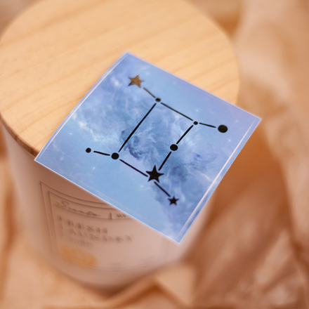 Стикер "Близнецы" 💫