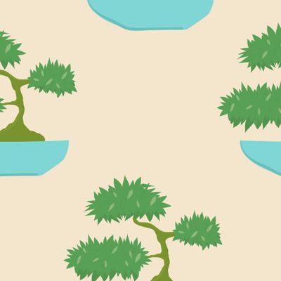 Бонсай растение фикус