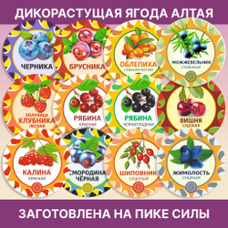 Душица, пучок.