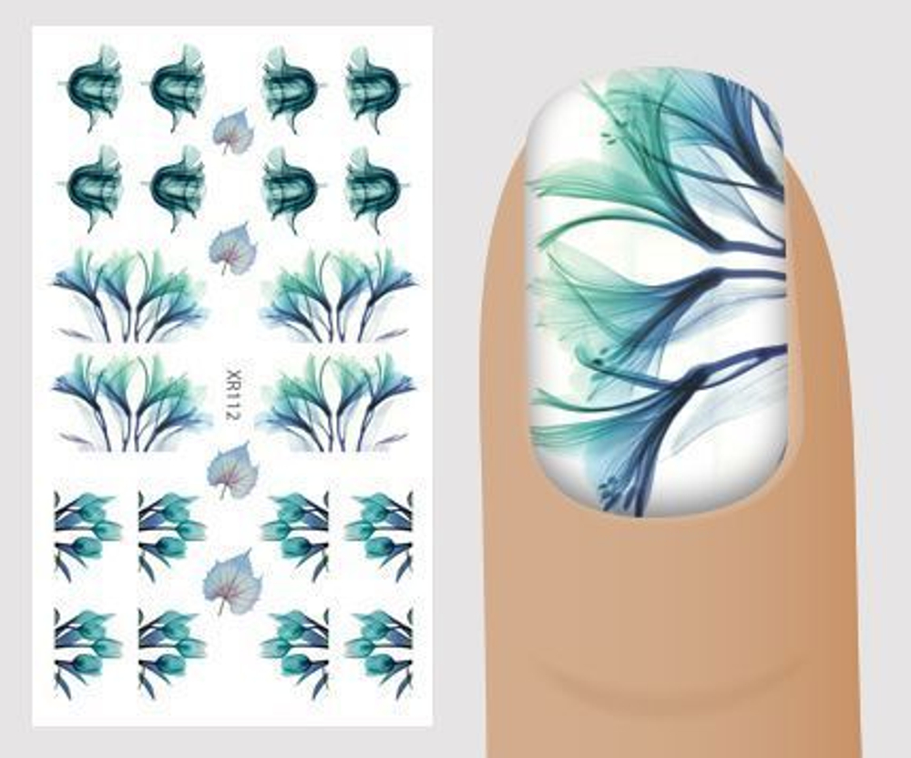 Слайдер-дизайн Цветы-рентген XR112