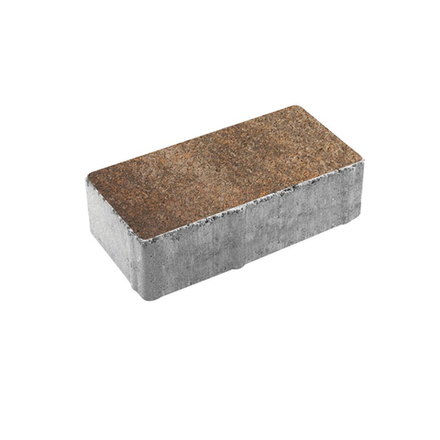 Тротуарная плитка ПРЯМОУГОЛЬНИК 200x100 мм - Листопад гранит Клен