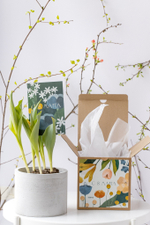 Первоцветы в бетонном кашпо с открыткой