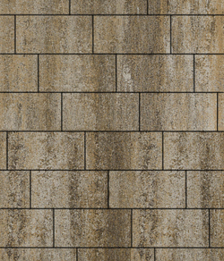 Тротуарная плитка ВЫБОР, форма Прямоугольник 300*150, h=80мм