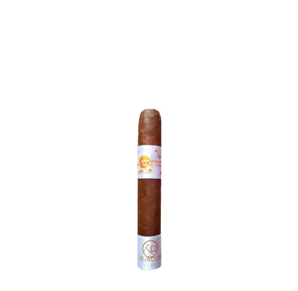 Principle Accomplice Classic White Band Robusto