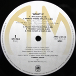Tommy Shaw / What If (LP)